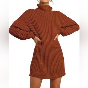NWOT Autumn Knit Pullover Sweater Dress
